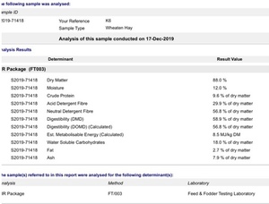 Wheaten Hay 600 kg squares