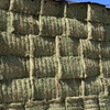 45mt Lucerne Hay 640kg 8x4x3 Bales (3rd cut)
