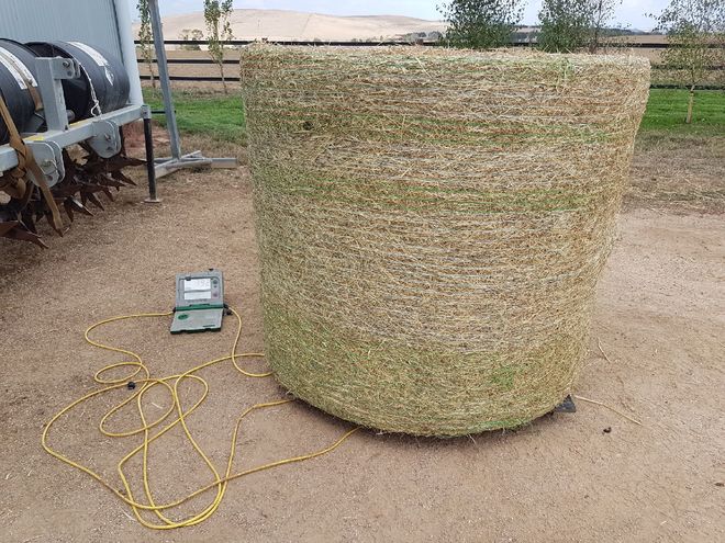 Legume Based Pasture Hay Rolls For Sale Avge 400Kgs / Roll