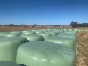 Oaten / Canola Silage 