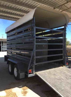 Tandem Axle Cattle/Horse Trailer