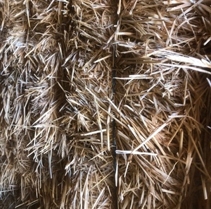 Barley Hay 650kg 8x4x3 Bales