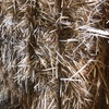 Barley Hay 650kg 8x4x3 Bales