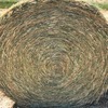 Pasture Hay - quality test included