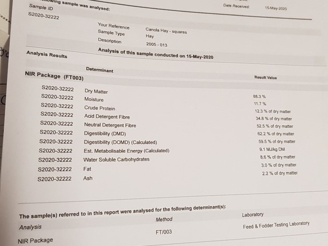 Canola Hay 600kg 8x4x3 Bales