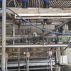 38 a Side Dairy Plant for Sale