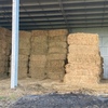 Oat/Wheat Hay 