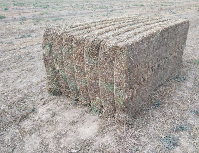 165mt Vetch Hay 650kg 8x4x3 Bales