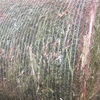 Canola  Wrapped Silage  Hay 5x4 - 500 x 500 KG Approx Rolls