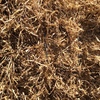Pea Straw 8x4x3 Bales