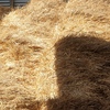 2 x Single Loads of Oaten Hay 8x4x3 HD Bales
