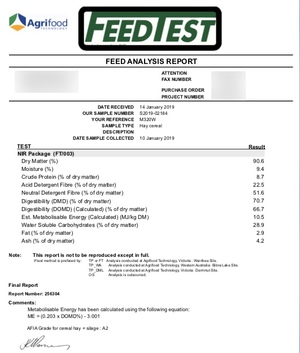 100mt Barley Hay 650kg approx 8x4x3 Bales