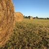 Round Hay Bales 5x4
