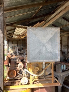 Under Auction - Mister  - To Be Auctioned on 01/10/19 