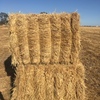 671 x Wheaten Hay 630kg 8x4x3 Bales