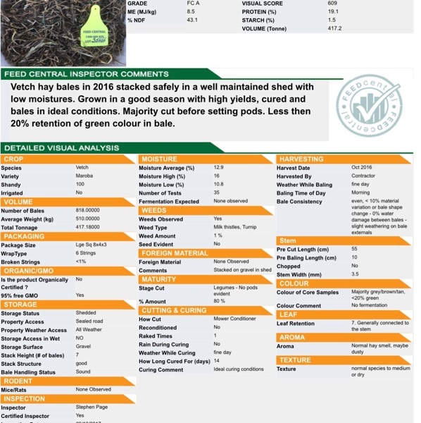 57 bales of vetch and canola hay