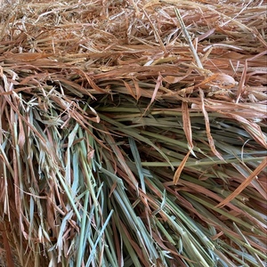 Oaten hay