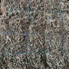  Lucerne Hay Small Square Bales in packs of 21 - approximately 1000 - Sold by the Bale