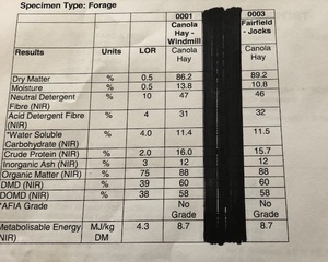 Canola Hay 8x4x3 HD Bales