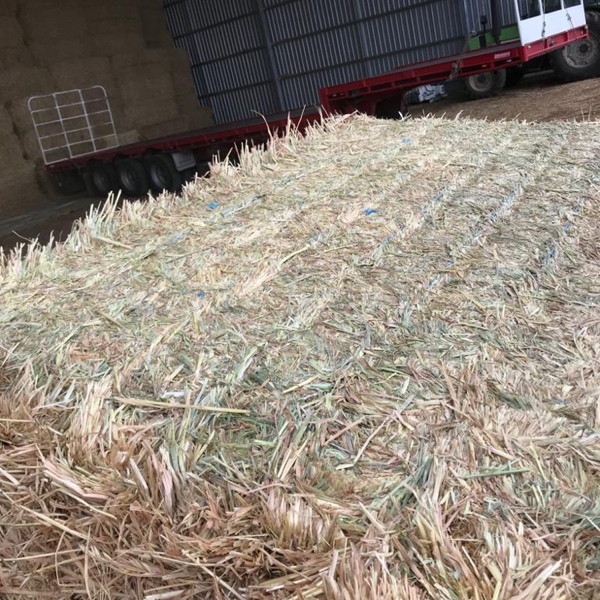 Oaten Hay 560kg 8x4x3 Bales + Freight