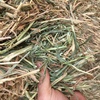 Wheaten Hay 8x3x3 bales ‘New Season’