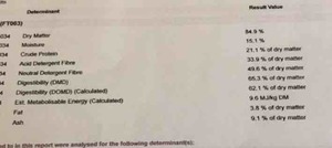 Vetch Hay 8x4x3 Bales 600 Kg's