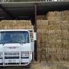 Oaten Hay 420kg 5x4 Rounds & Small Squares