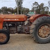Massey Ferguson 65 Tractor