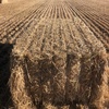 Oaten Straw 8x4x3 Bales