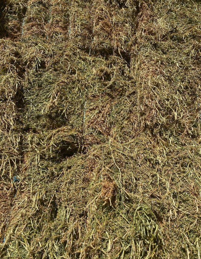 200mt New Season Vetch Hay 8x4x3 Bales
