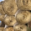 200 x Pasture Hay 5x4 Rolls