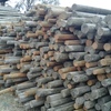 4500 x 12ft x 4inch  Pine Posts  (Ex orchard trellis )