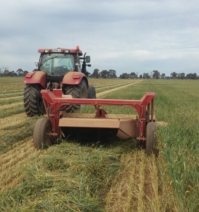 50mt Wheaten Hay 8x4x3 Bales New Season 