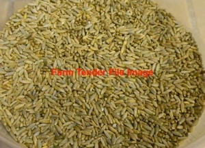 Cereal Rye Wanted
