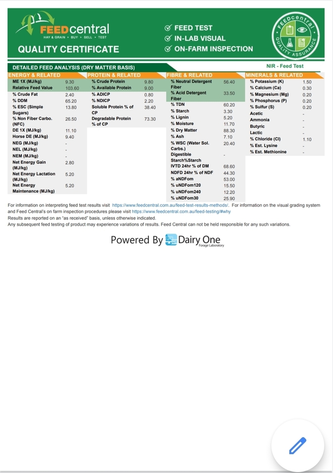 Under Auction - Wheaten Hay Big Square Bales - 2% + GST Buyers Premium On All Lots