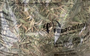 Wheaten Hay, Shedded