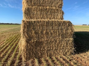 New Season Wheaten Hay 700kg 8x4x3 Bales