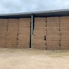 Vetch Hay