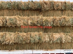 Oaten Hay  small squares
