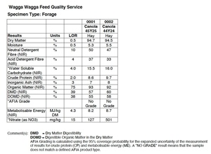 200 x Canola Hay 500-550kg 8x4x3 Bales 'New Season' Ex Paddock