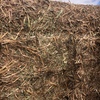 150mt Vetch Hay 8x4x3 Bales (New Season)