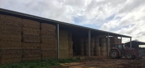 140mt Wheaten Hay 500-550kg 8x4x3 Bales (Beardless)