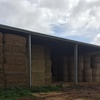 140mt Wheaten Hay 500-550kg 8x4x3 Bales (Beardless)