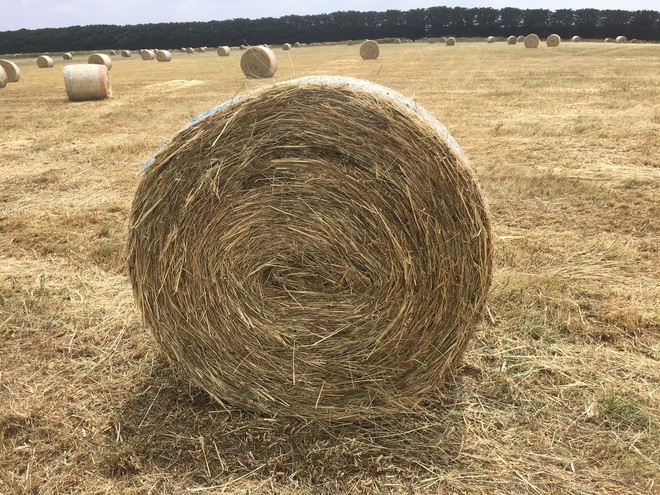40  Hay 5x4 Bales