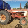 International 806 Tractor