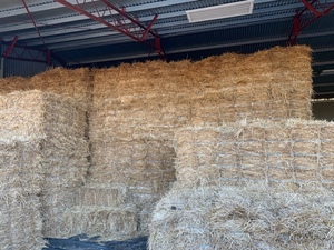 Cereal hay, small squares