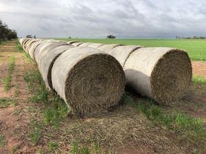 Wheat straw rolls