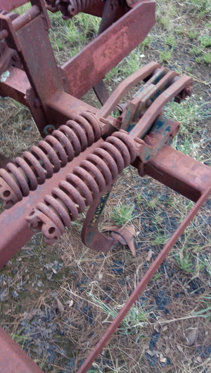 24 x International Scarifier Tynes