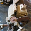 Lister shearing plants