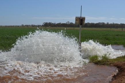 Wanted Lower Murray 016 Permanent Water